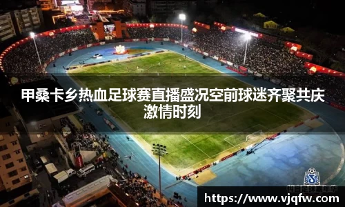 甲桑卡乡热血足球赛直播盛况空前球迷齐聚共庆激情时刻
